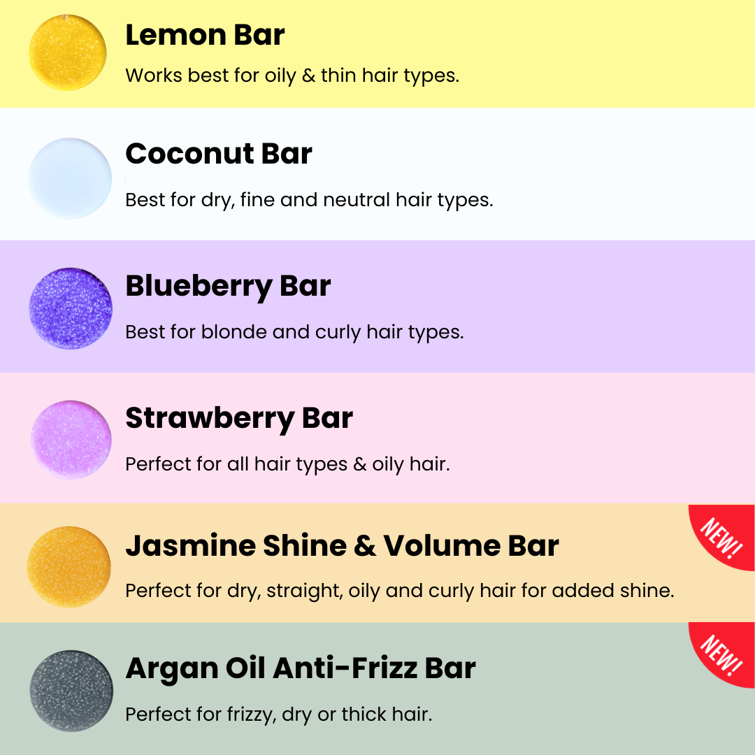 Blueberry Shampoo & Conditioner Hair Care Bundle